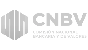 cnbv-logo